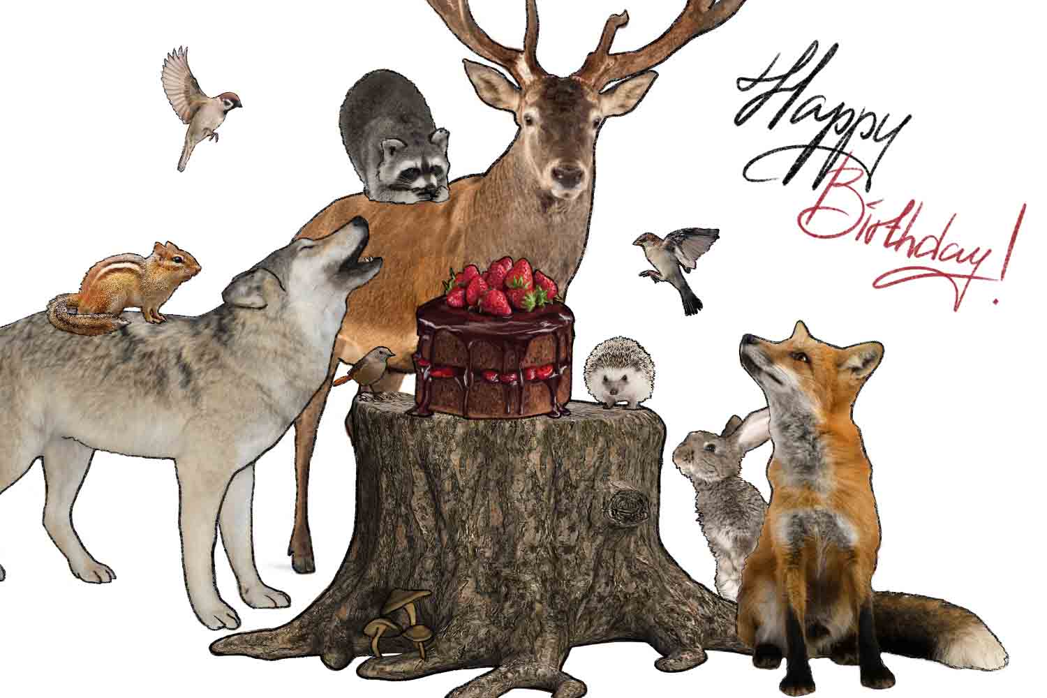 Happy Birthday Greetings  from Nature- Animal and Birthdays eCards