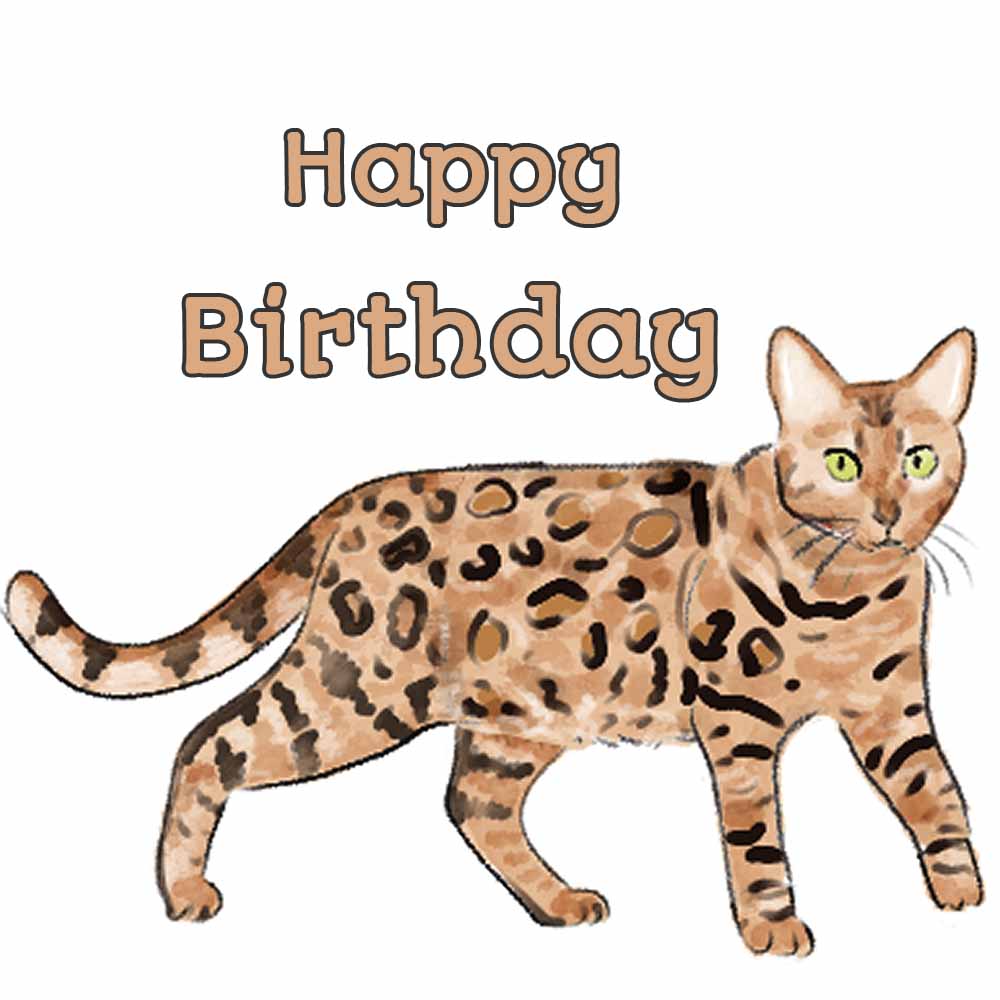 Bengal Cat eCard