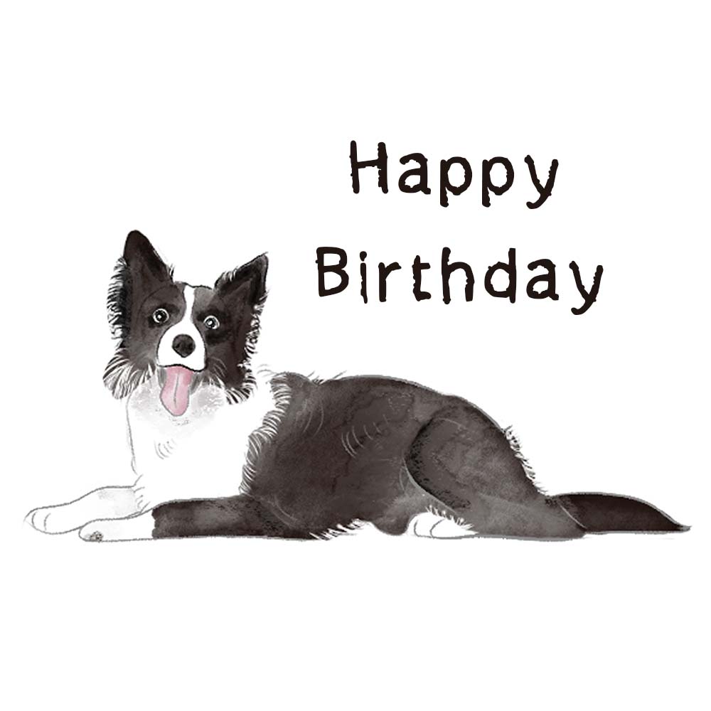 Border Collie Dog eCard