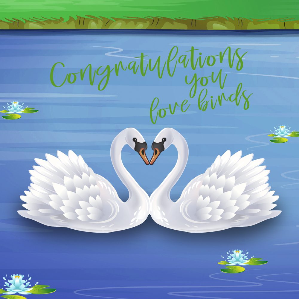 Congratulations You Love Birds