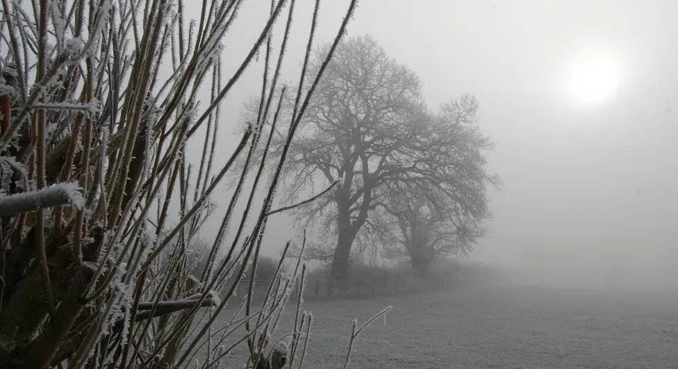 Solstice eCard  –  Deep Winter, snow and sun