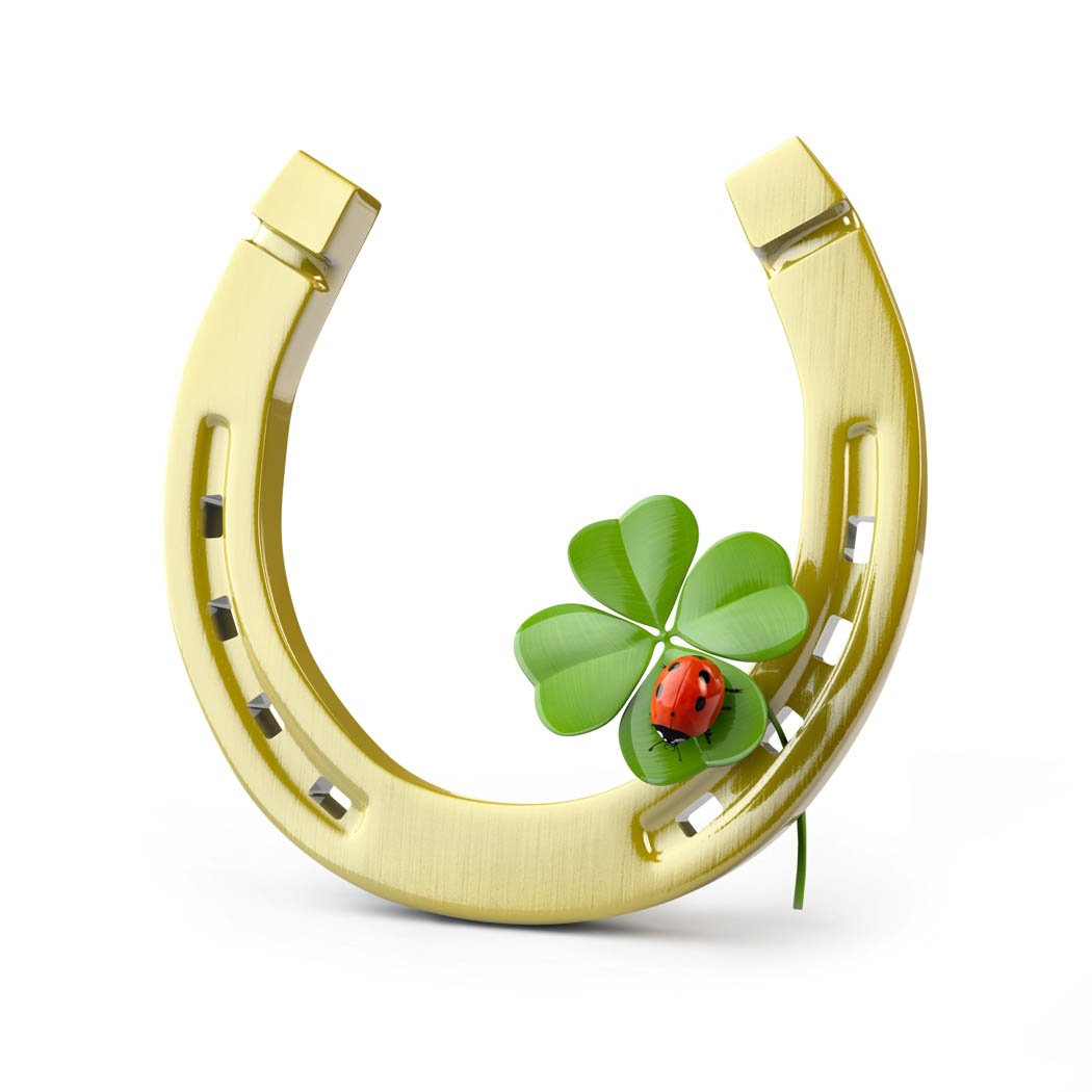 Good luck horse shoe four leaf clover lady bird