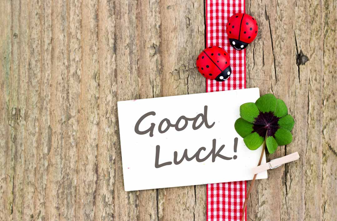 Good luck lady bird 4 leaf clover