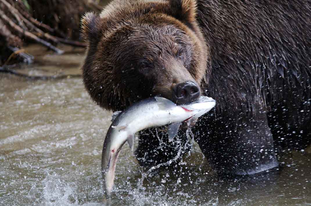 Good luck I hope you land a good catch