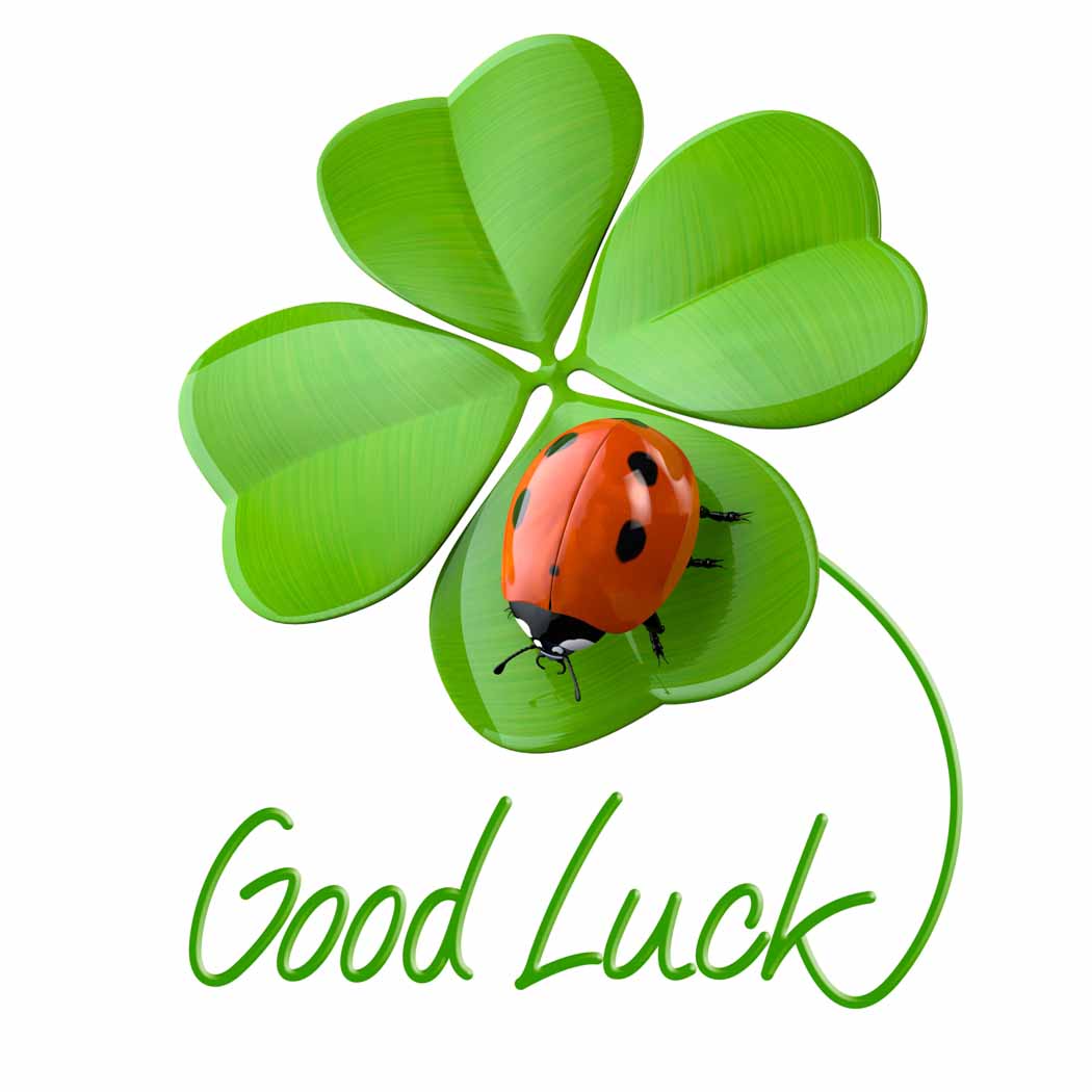 Good luck lady bird on4 leaf clover