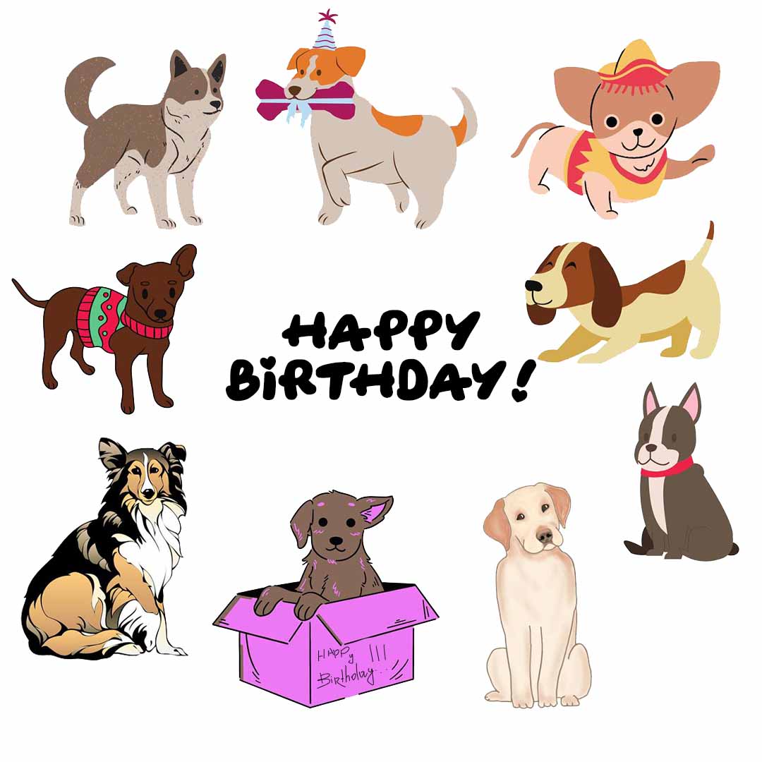 Humorous 9 Dogs Greetings Happy Birthday eCard