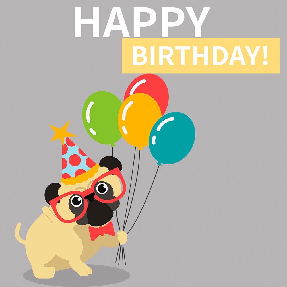 Happy Birthday Funky Pug