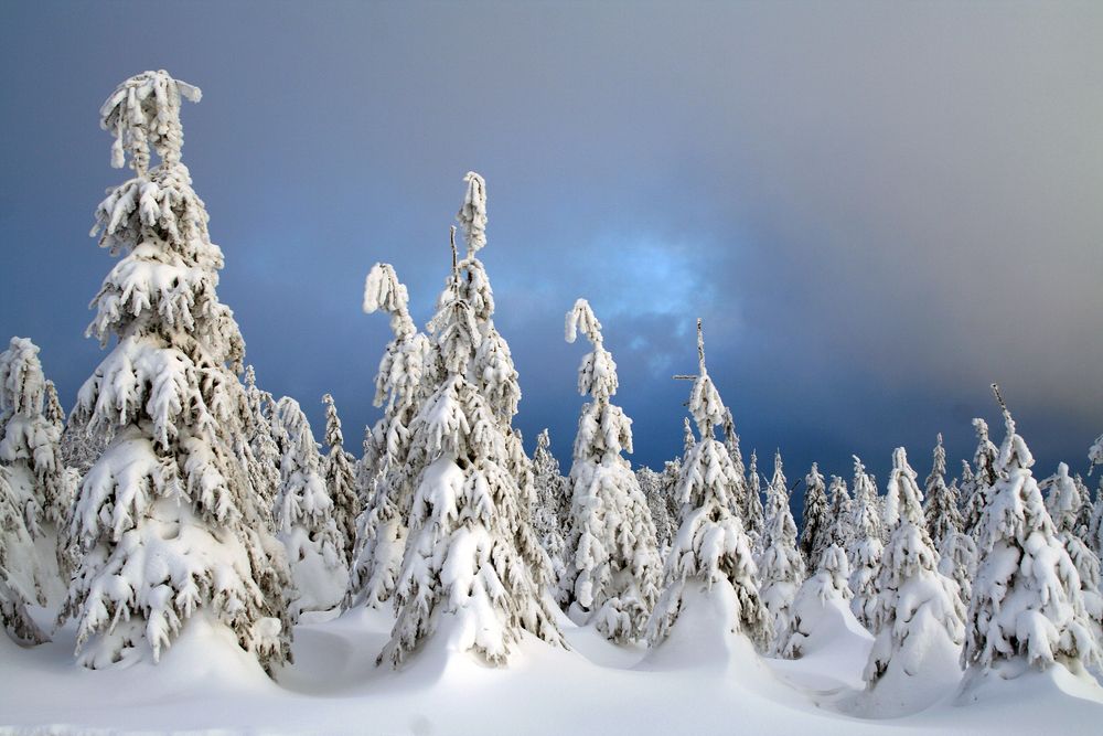 Solstice eCard – Happy Winter Solstice