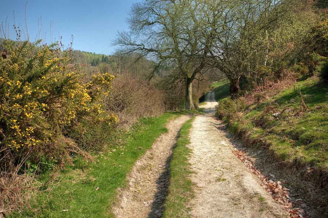 Herefordshire Ecard #15