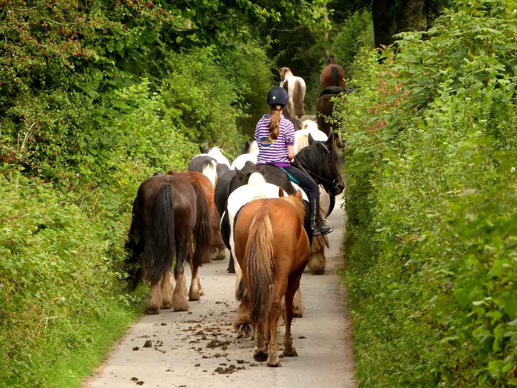 Herefordshire Ecard Pony Trekking
