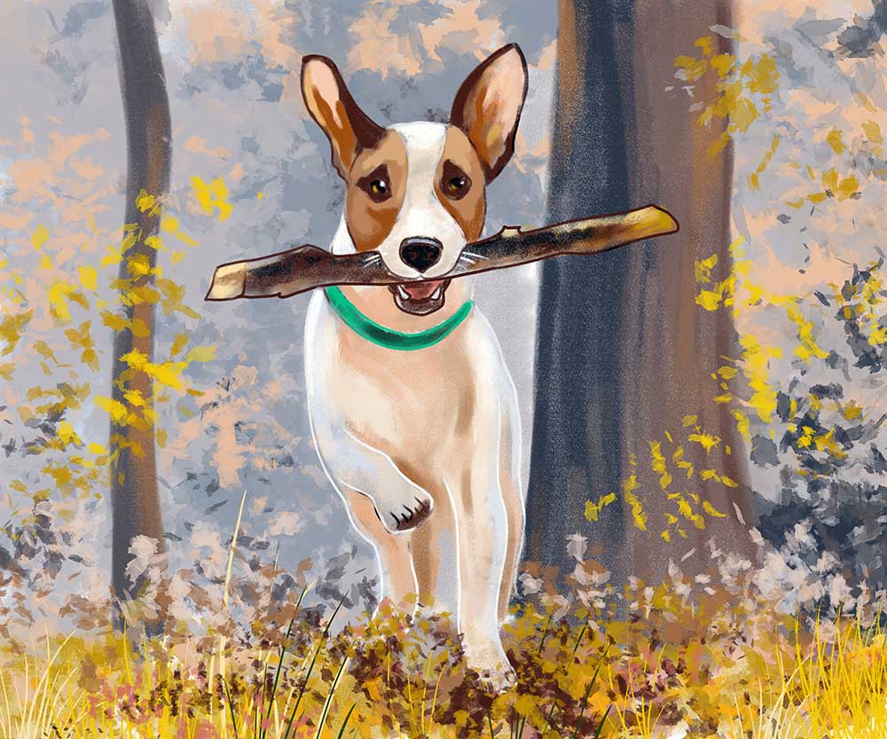 Jack Russell Dog Fetching a Stick eCard