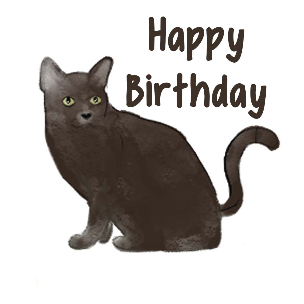 Korat Cat Birthday eCard