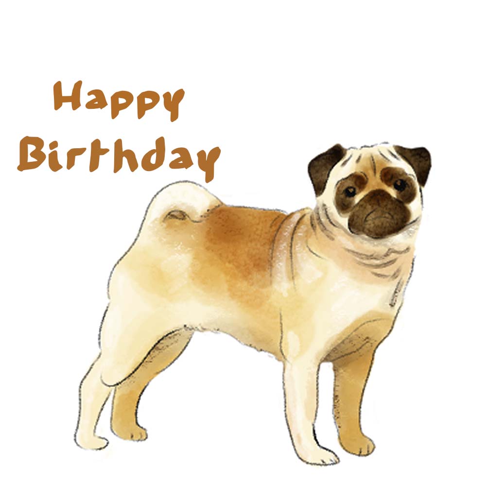 Pug Dog eCard