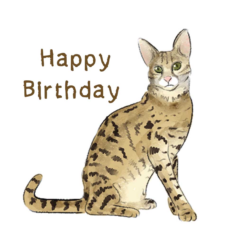 Savannah Birthday Cat eCard