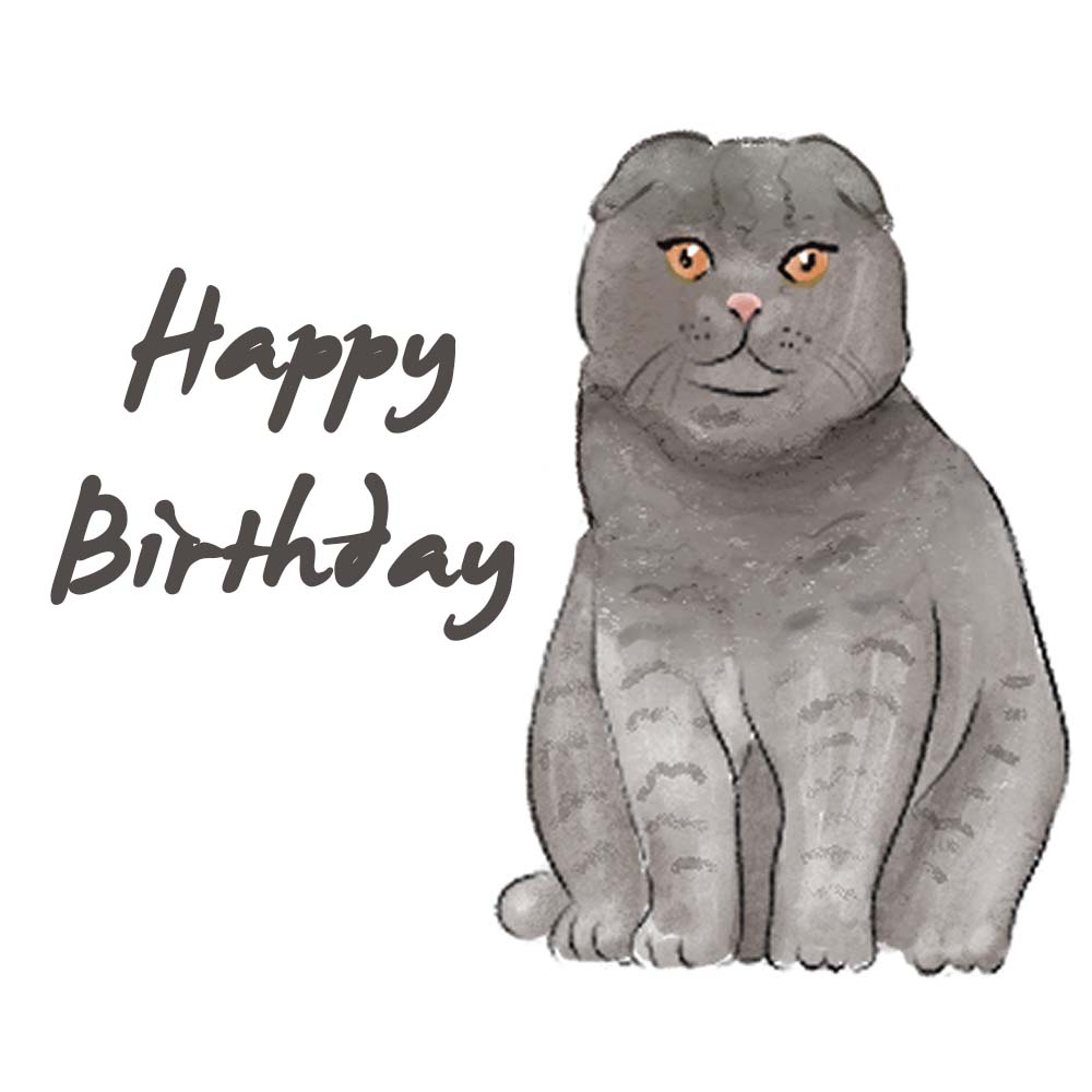 Scottish Fold Cat Birthday eCard