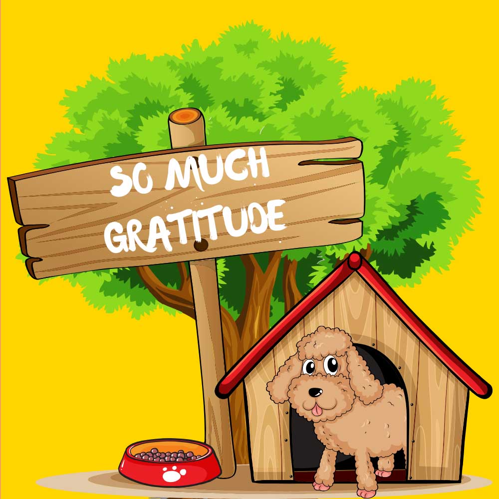 So Much Gratitude Thank You  eCard