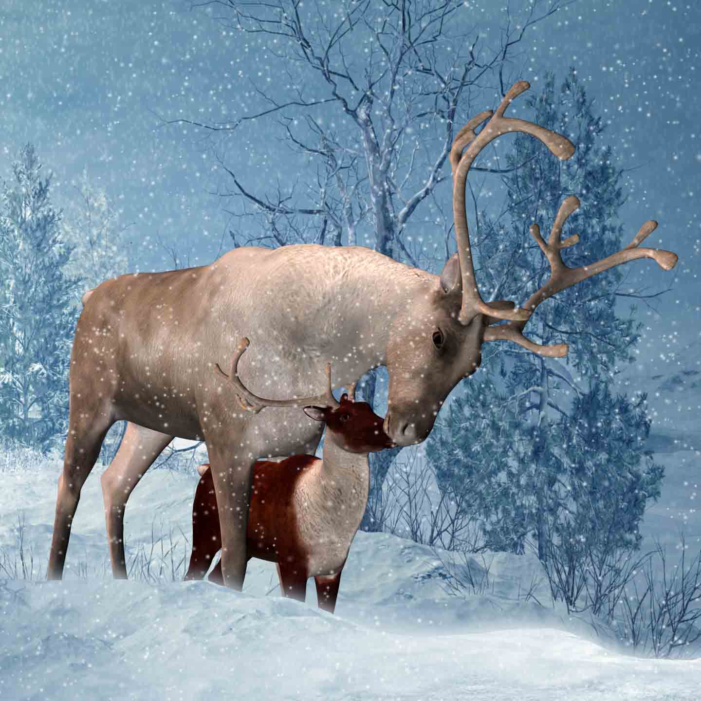 Winter Solstice Charity eCard – Stag in Snowy Forest