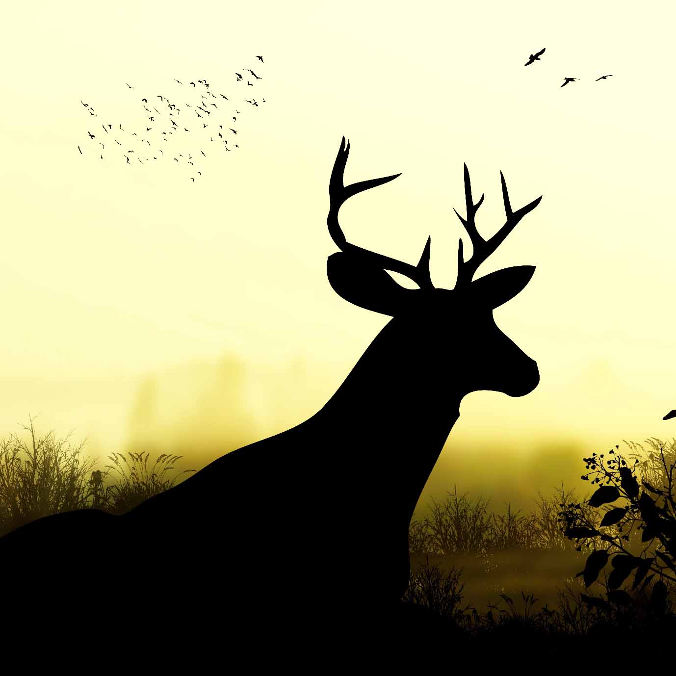 Solstice eCard Reindeer