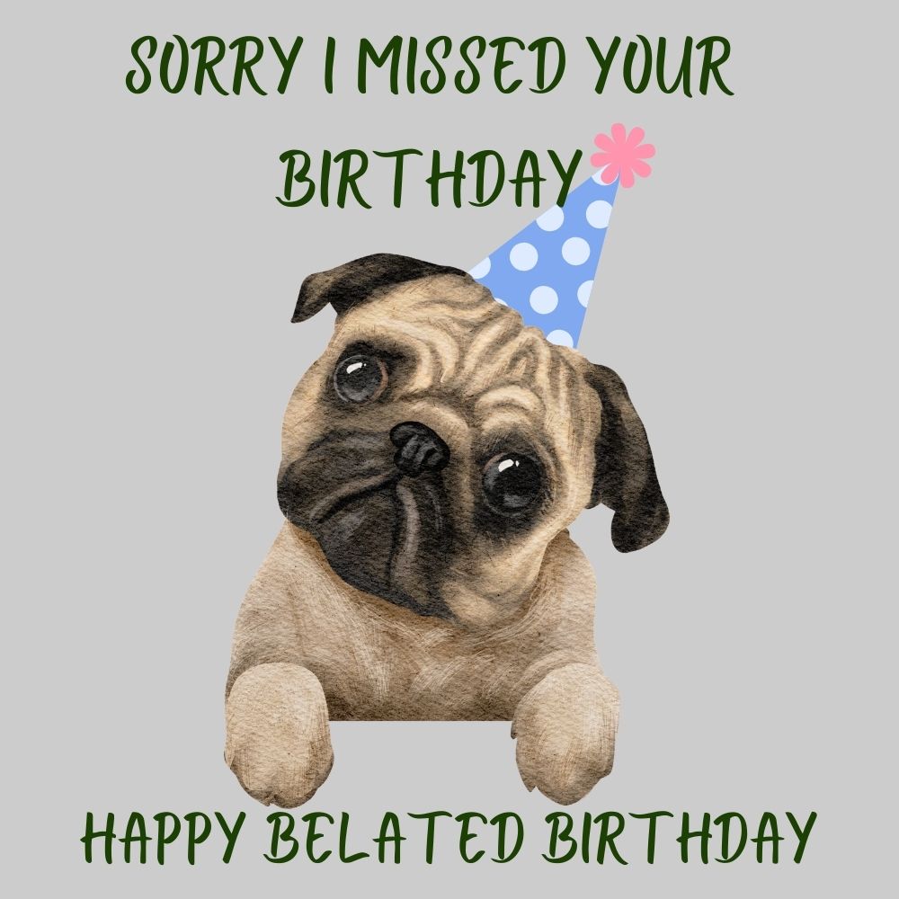 Belated Birthday Greetings – Sorry I Missed Your Birthday Cute Pug