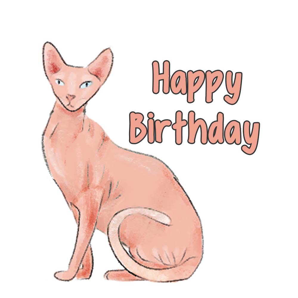 Sphynx Cat Birthday eCard