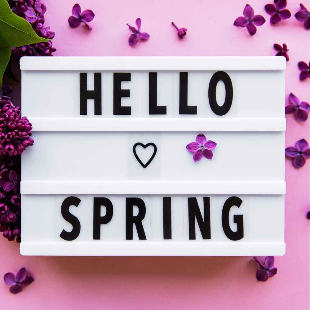 Spring eCard Purple Lilac Blossom Flower