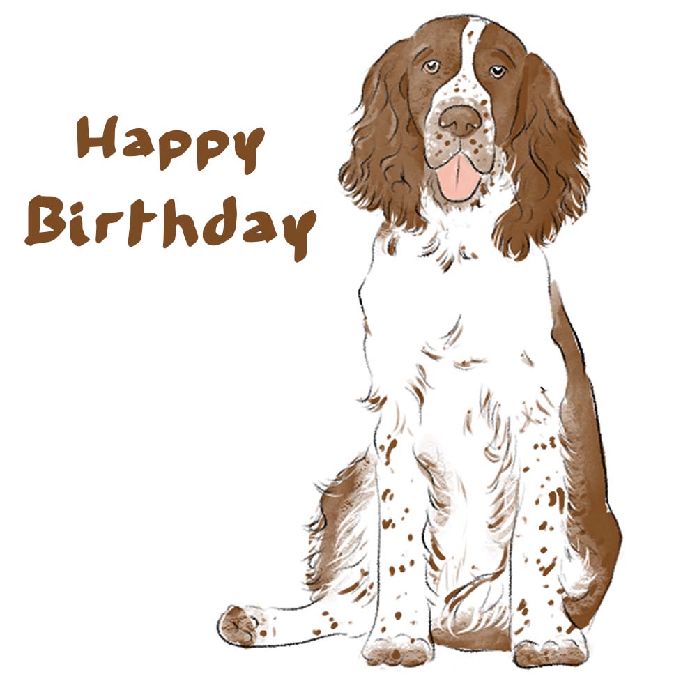 Springer Spaniel Dog eCard