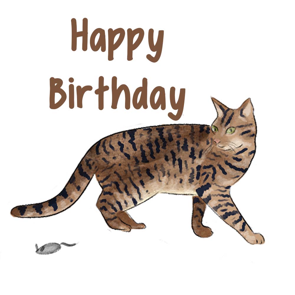 Tabby Cat eCard