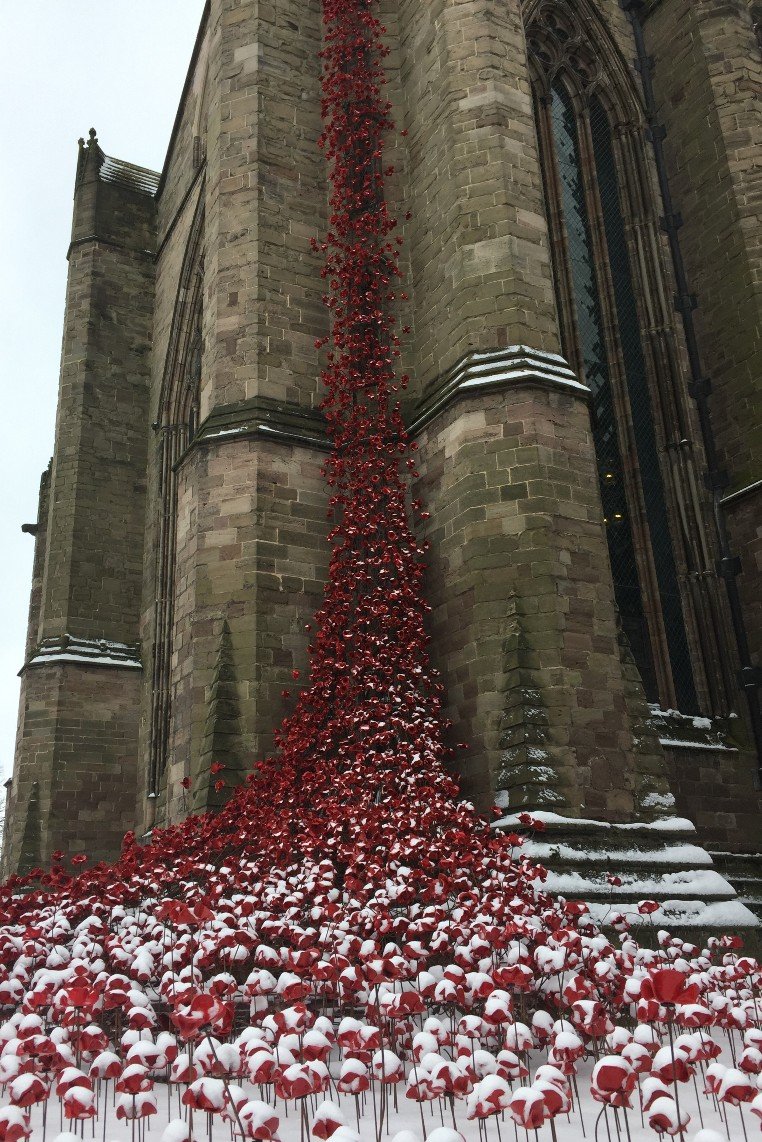 Herefordshire eCards – Hereford Cathedral Poppies in Snow