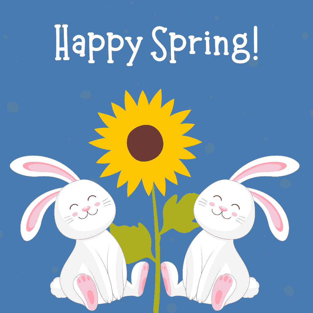 Smilling Bunny by Sunflower eCard