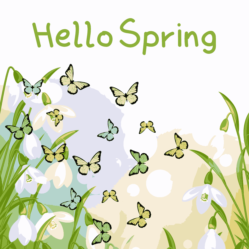 Flowery Spring Butterfly eCard