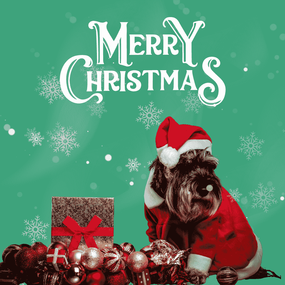 Christmas Cheer Santa Paws Scottish eCard