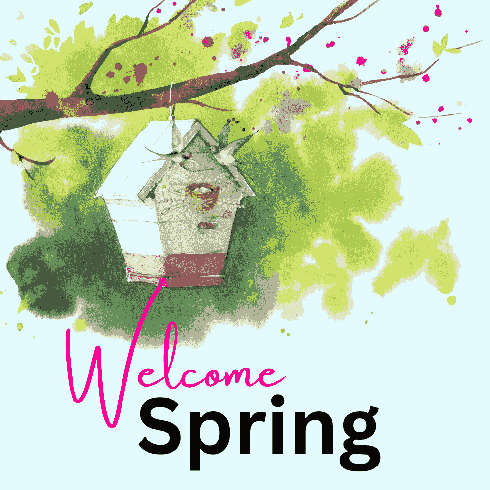 Welcome Spring – Bird Nest