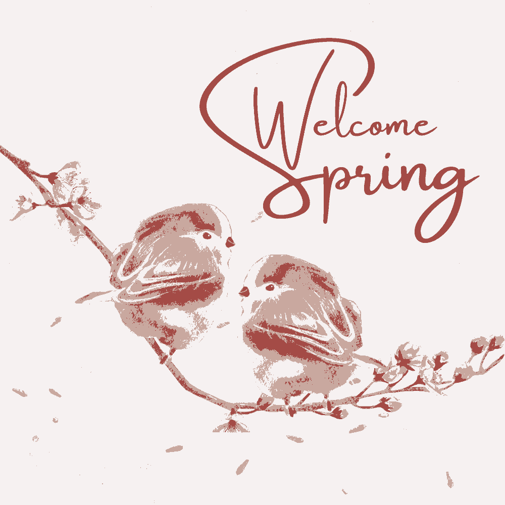 Welcome Spring Two Finches on Cherry Blossom