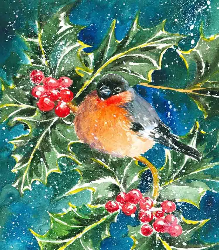 Robin redbreast on Holly branch
