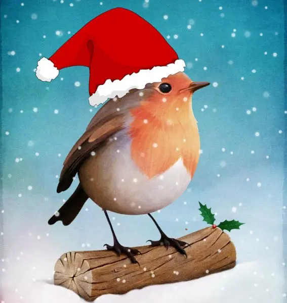 Robin redbreast wearing a santa hat